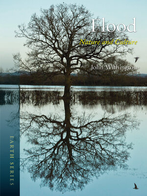 cover image of Flood